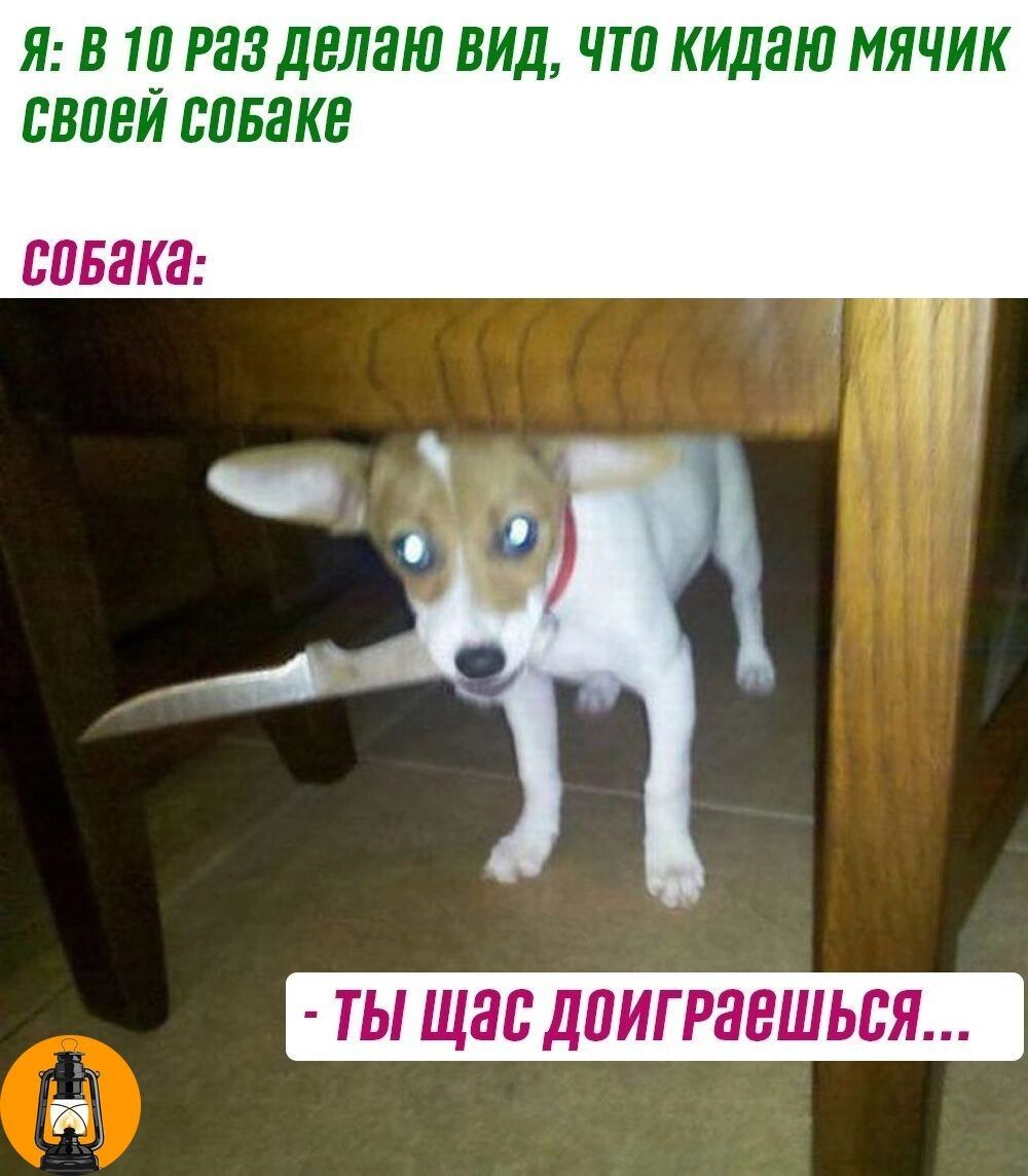 И В 10 раз делаю ВИД чт КИДЗЮ МЯЧИК ВВПЕЙ ВПБЗКЕ ПЛЕНКИ ТЫ ЩЗБ дПИГРЗЕШЬЬЯ