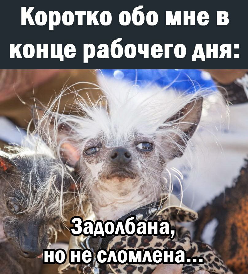 Коротко обо мне в конце рабочего дня