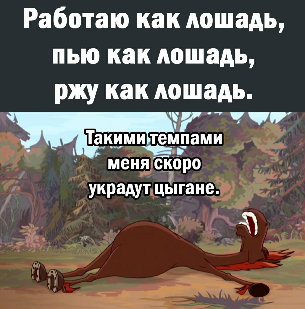 Работаю как лошадь пью как лошадь ржу как лошадь _ Такимиёлдами меня ск_оро украдут щіпгане а