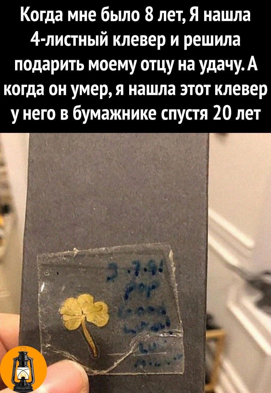 Когда мне было 8 лет Я нашла 4 листный клевер и решила подарить моему отцу на удачуА когда он умер я нашла этот клевер у него в бумажнике спустя 20 лет __г гг тч Р