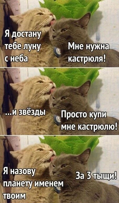 Я дётануф теб_е луну Мне нужна с нёба кастрюля цзвёздьі Просто купи мне кастрюлю і Эф Я ндіову плачет именеда твоим За 3 тыщи