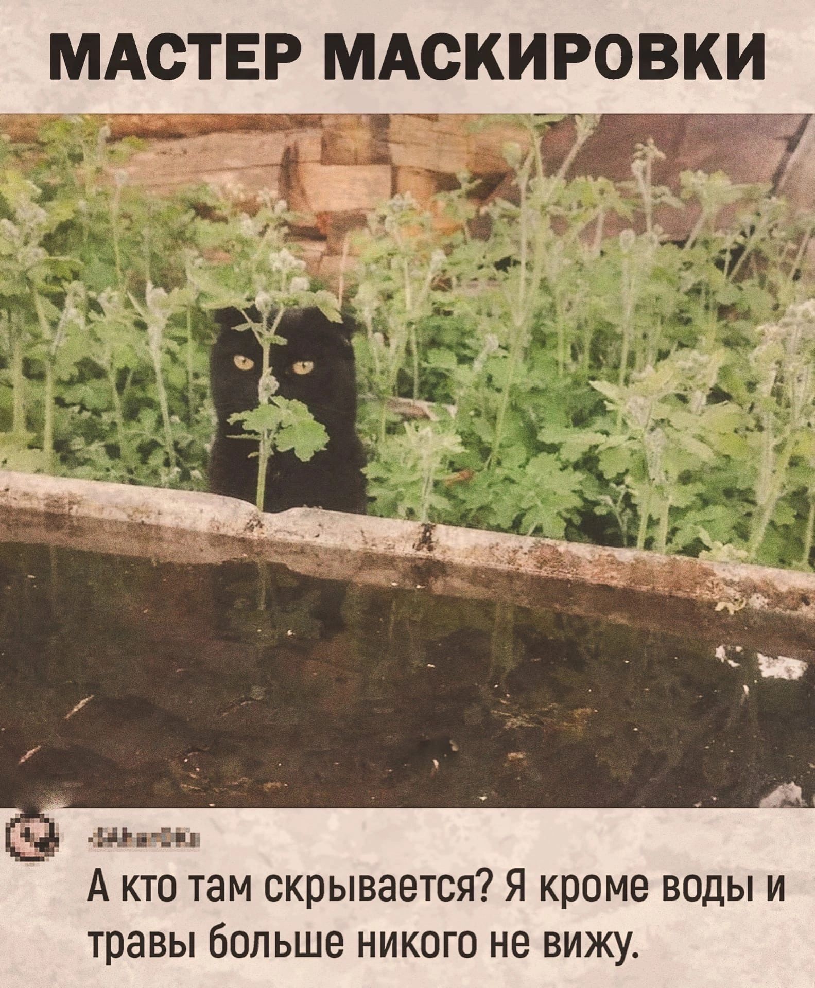 _ А кто там скрывается Я кроме воды и травы больше никого не вижу