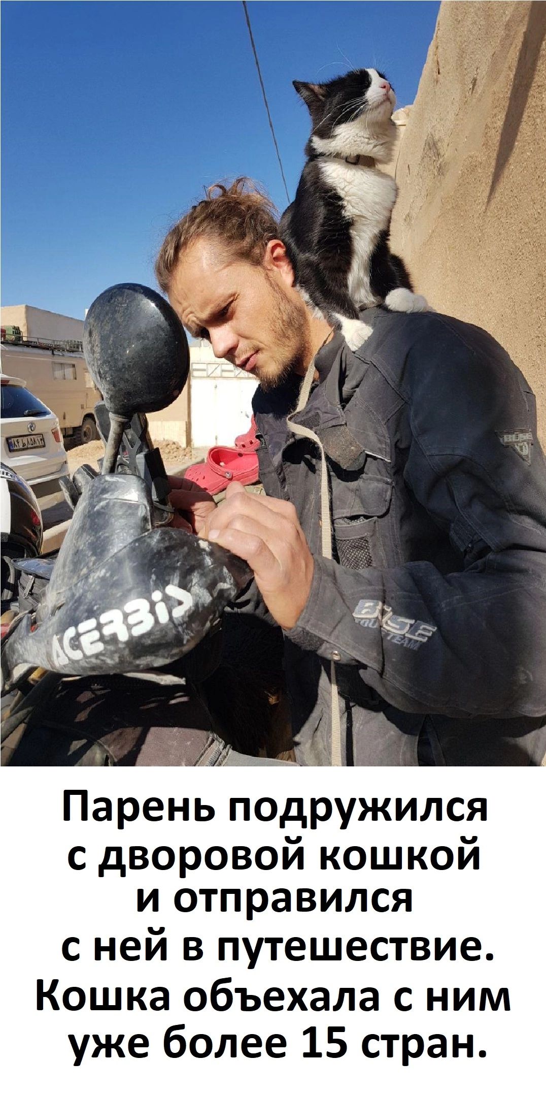 Парень подружился с дворовой кошкой и отправился с ней в путешествие Кошка объехала с ним уже более 15 стран