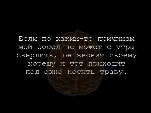 Если по какимто причинам мой сосед не может с утра сверлить он звонит своему корешу и тот приходит под окно косить траву