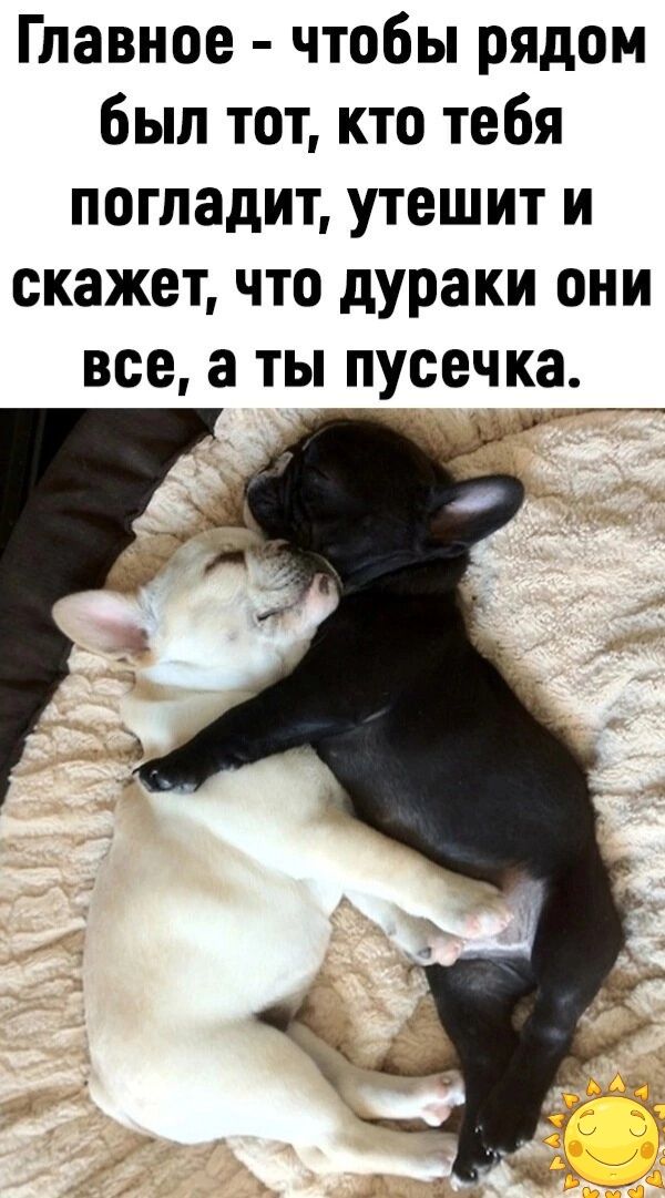Главное чтобы рядом был тот кто тебя погладит утешит и скажет что дураки они все а ты пусечка