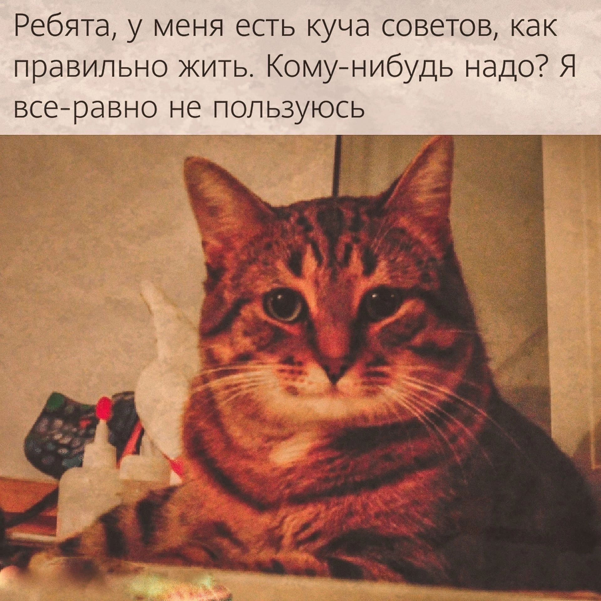 Ребята у меня есть куча советов как правильно жить Кому нибудь надо Я всеравно не пользуюсь