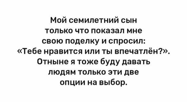 Мой семилетний сын только что показал мне свою поделку и спросил Тебе нравится или ты впечатён Отныне и тоже буду давать людям только эти две опции на выбор