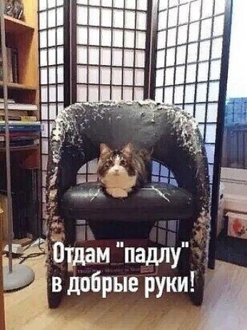 ётшам пашпу Ё _вдобрые руки