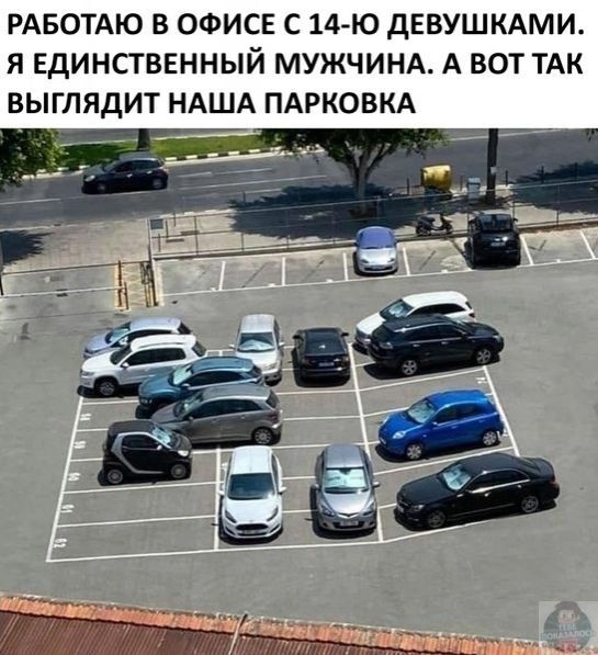 РАБОТАЮ В ОФИСЕ С 14 Ю дЕВУШКАМИ Я ЕДИНСТВЕННЫЙ МУЖЧИНА А ВОТ ТАК ВЫГЛЯДИТ НАША ПАРКОВКА