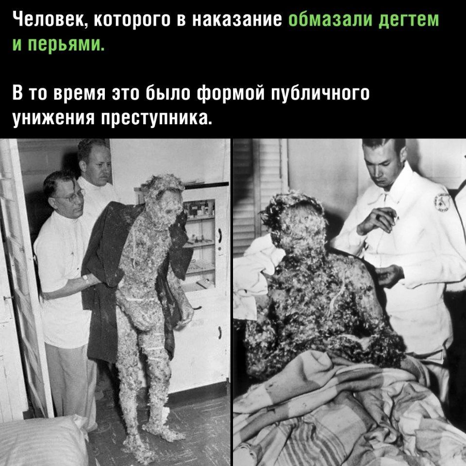 Чвлпввк интриги в наказание пбмазапи дегтем и перьями В то время эти были фпрмпй публи шит унижения преступника