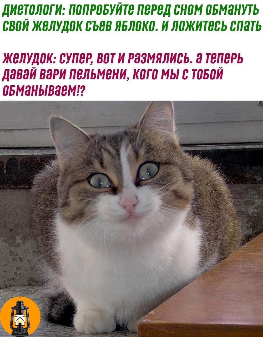 ДИВТШЮГ И ПППРПБУЙТЕ ПЕРЕД ВНПМ ПБМЗНУТЬ ВЕПЙ ЖВЛУДПК ВЪВВ ЯБЛЛКП И ЛПЖИТЕВЬ ВПЗТЬ ЖВЛУДПК СУПЕР ВПТ И РЗЗИЯЛИЬЬ Я ТЕПЕРЬ давай ВЗРИ ВЛЬМВНИ КПГ 0 МЫ ТПБПЙ ПБМЗИЫМВМП