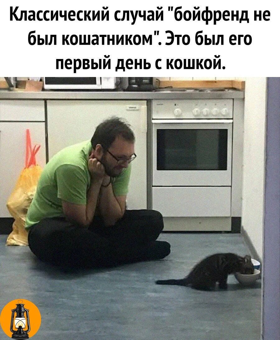 Классический случай бойфренд не был кошатником Это был его первый день с кошкой