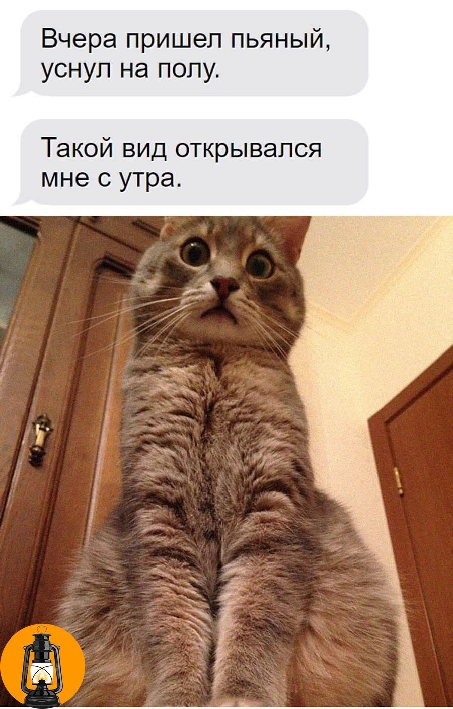 Вчера пришел пьяный уснуп на полу Такой вид открывался мне с утра
