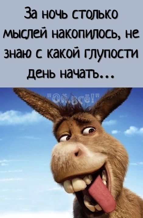 За ночь стшько мыслей накопигюсь не знаю с какой глупости день начатъ