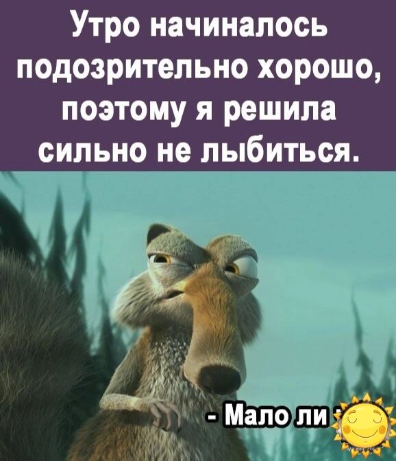 Утро начиналось подозрительно хорошо поэтому я решила сильно не лыбитьоя Мало ли
