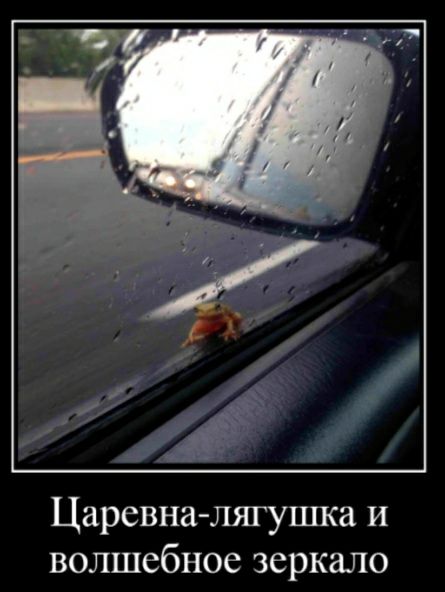 Царевна лягушка и волшебное зеркало