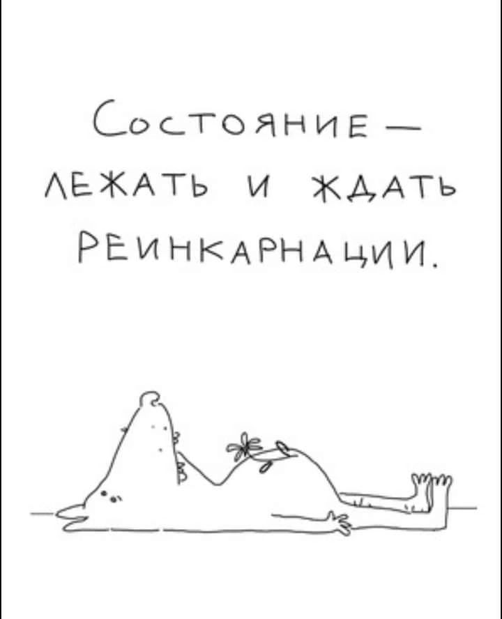 СосТоЯНИЕ_ АЕЖАТЬ и ЖААГЬ РЕИНКАРНАции