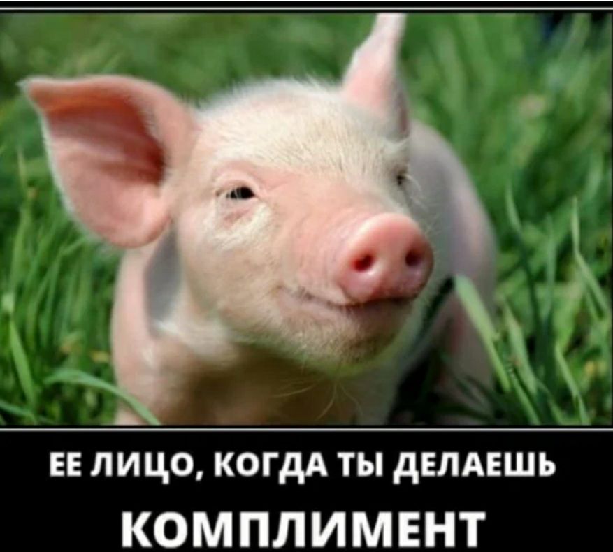 ЕЕ лицо когдд ты дЕПАЕШЬ КОМПЛИМЕНТ