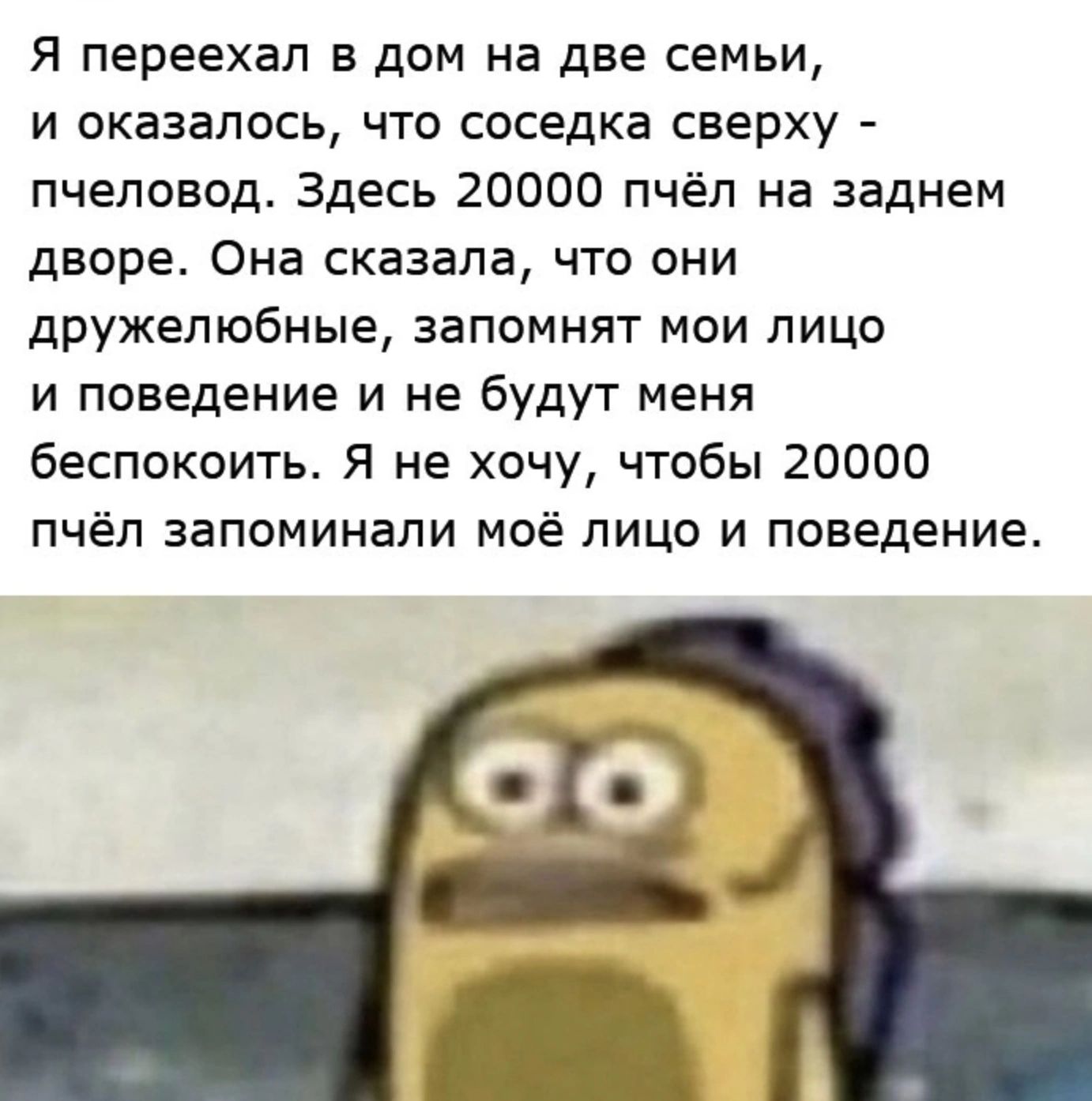 Я переехал в дом на две семьи и оказалось что соседка сверху пчеловод Здесь 20000 пчёл на заднем дворе Она сказала что они дружелюбные запомнят мои лицо и поведение и не будут меня беспокоить Я не хочу чтобы 20000 пчёл запоминали моё лицо и поведение