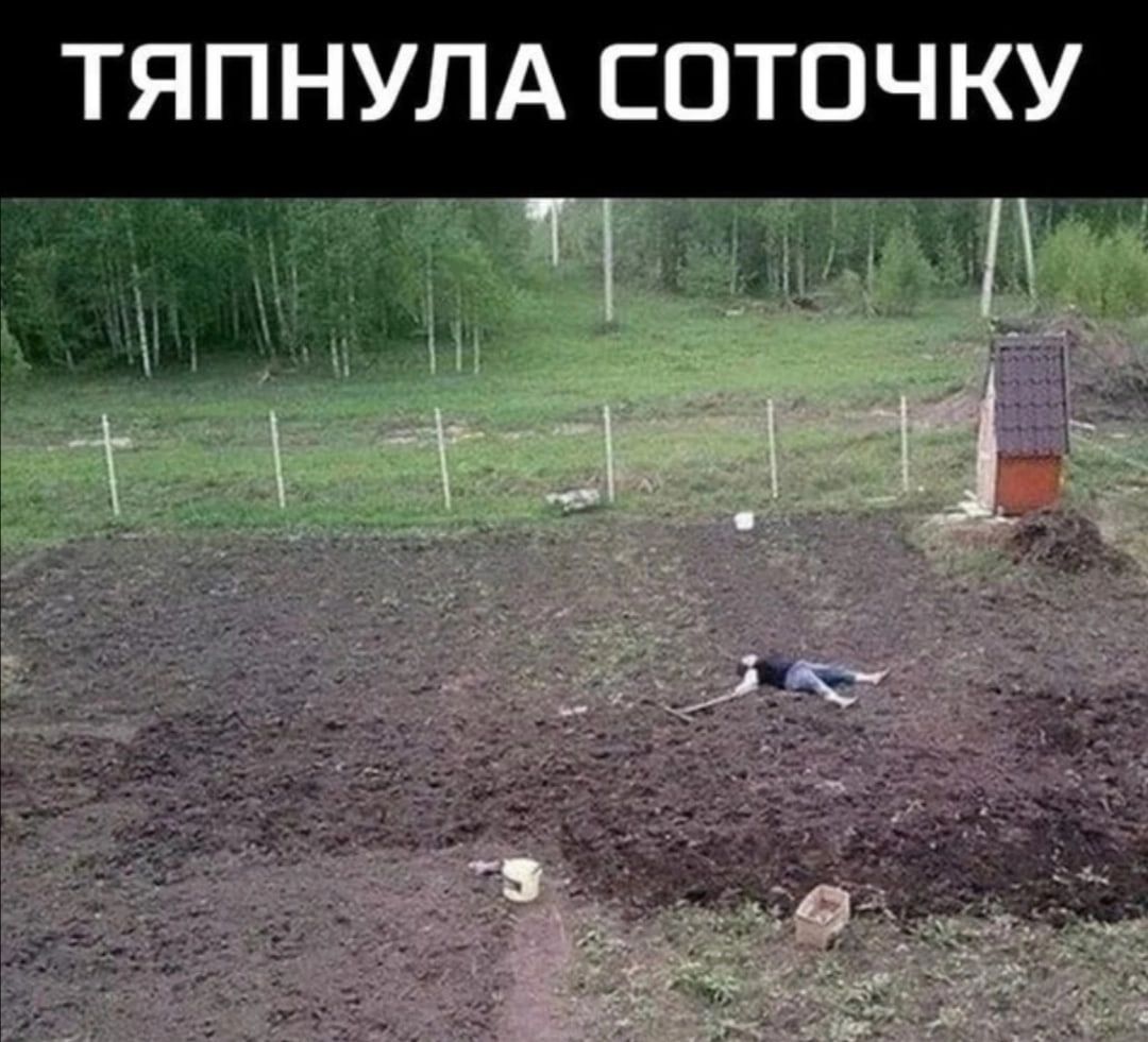 лучший отдых это дача