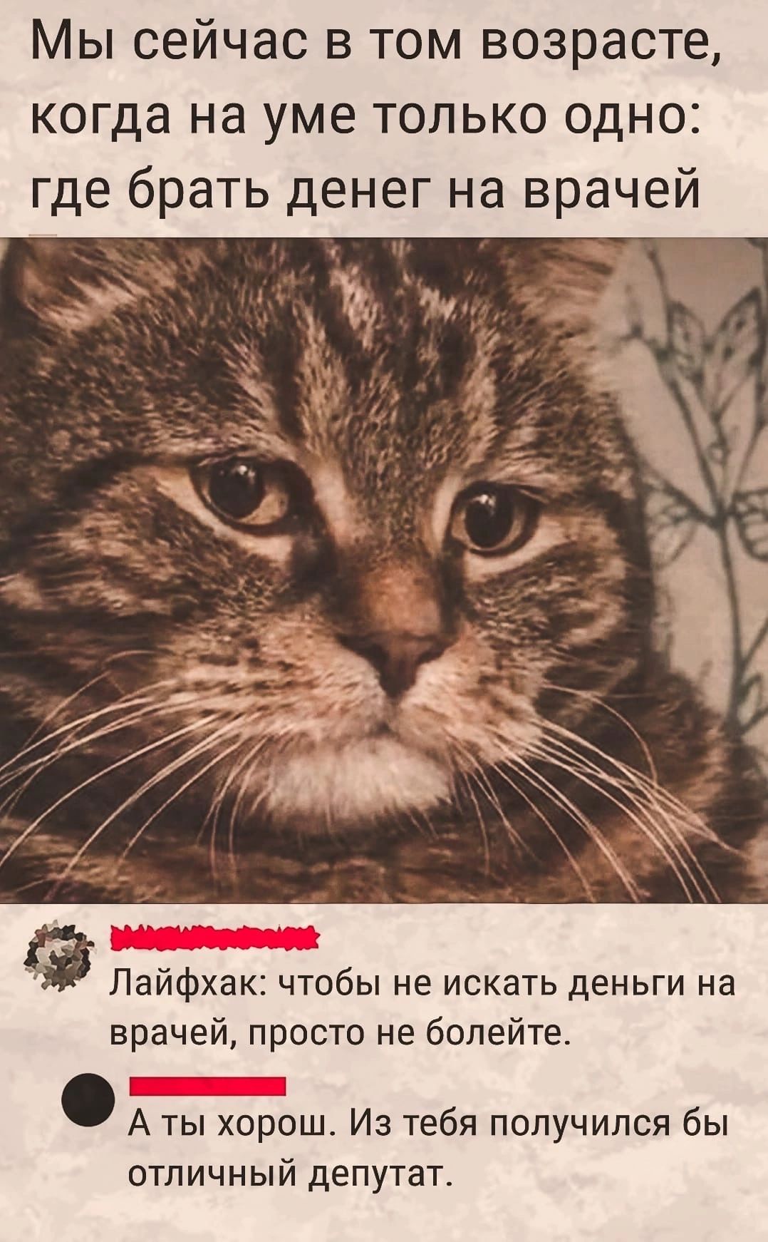 Мы сейчас в том возрасте когда на уме только одно где брать денег на врачей Лайфхак чтобы не искать деньги на врачей просто не болейте _ А ты хорош Из тебя получился бы отличный депутат