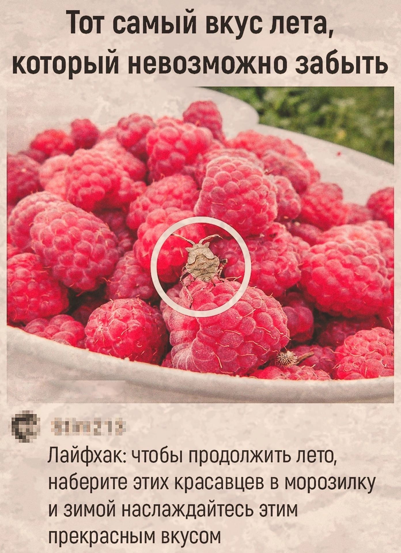 Тот самый вкус пета который невозможно забыть Е 1 5 Лайфхак чтобы продолжить пето наберите этих красавцев в морозилку и зимой наслаждайтесь этим прекрасным вкусом