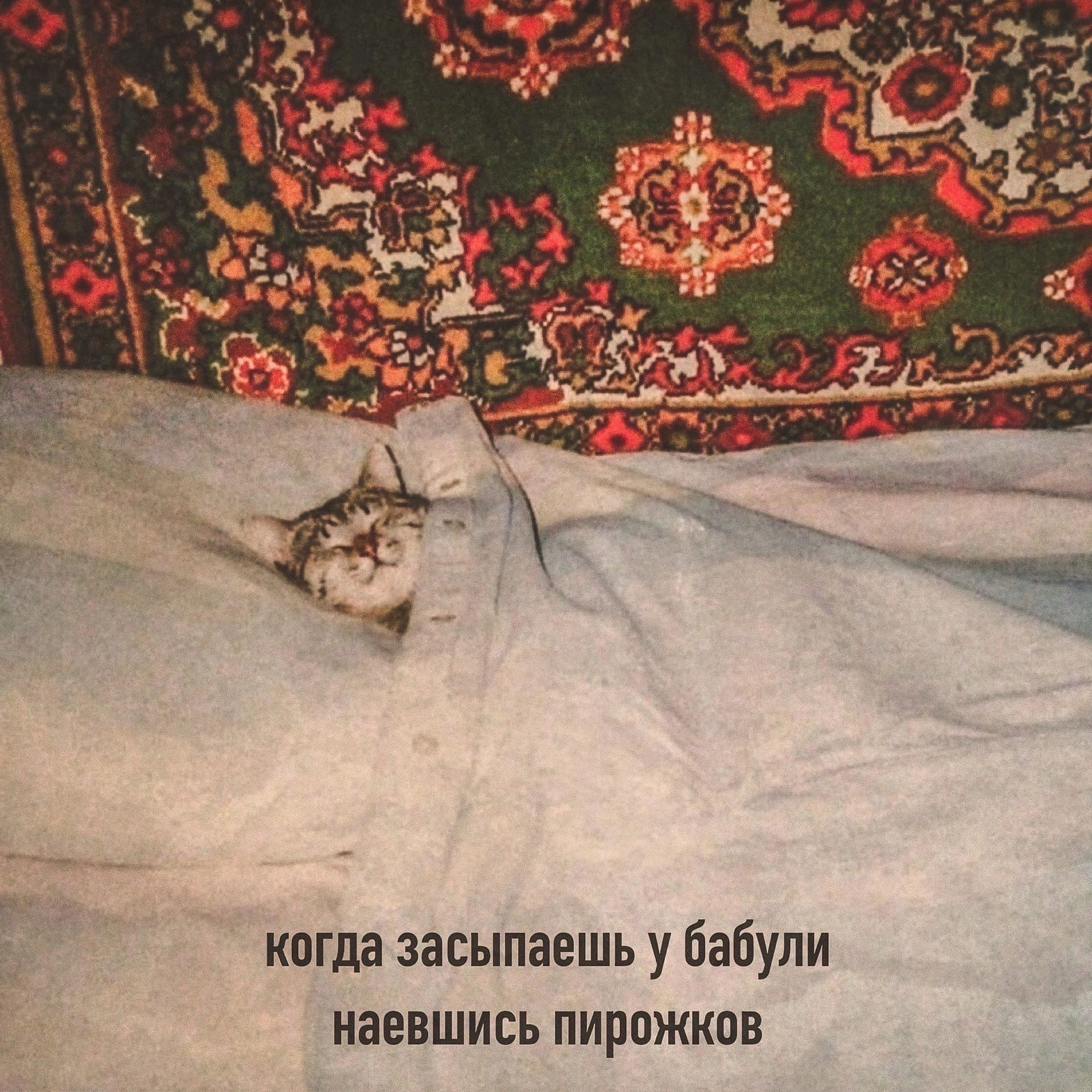 когда засыпаешь у бабули наевшись пирожков