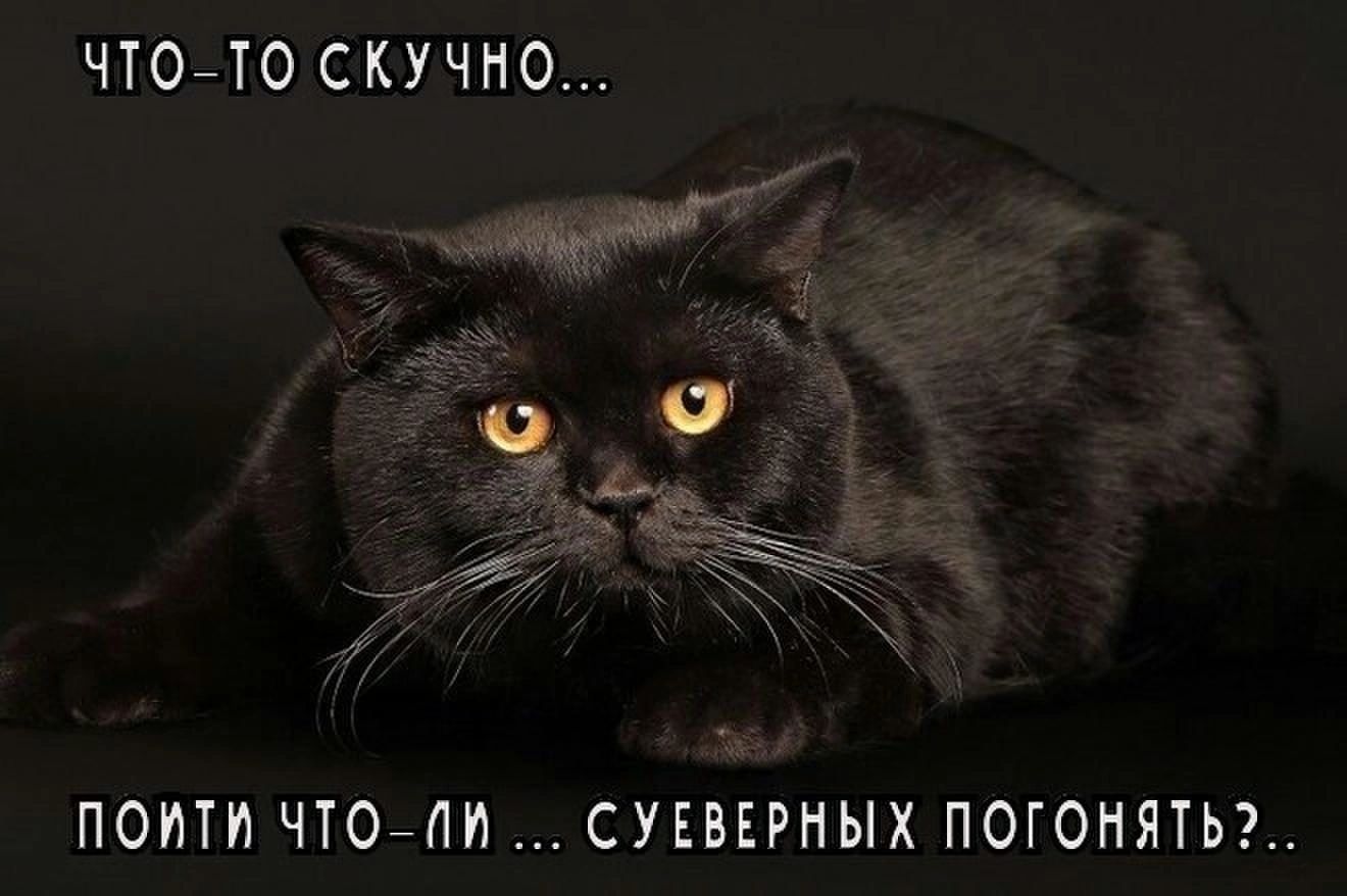 ЧТОЙТО СКУЧНО ПОИТИ ЧТОЙПИ СУЕВЕРНЫХ ПОТОНЯТЬ