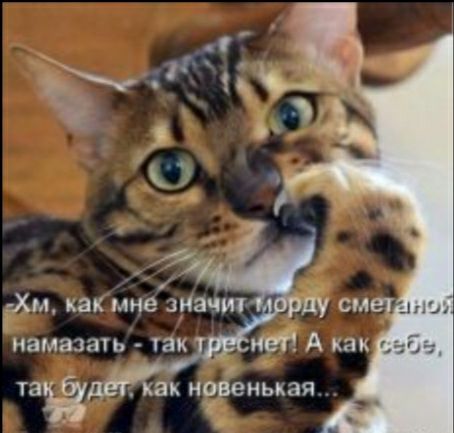 таи КВК ИОВВНЬКЗЯ