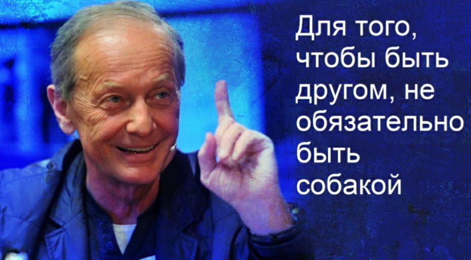 Для того чтобы быть другом не обязательно быть собакой