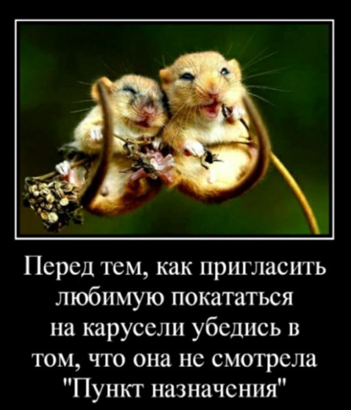 Перед тем как пригласить любимую покататься на карусели убедись в том что она нс смотрела Пункт назначения
