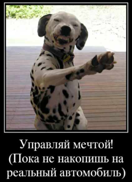 Управляй мечтой Пока не накопишь на реальный автомобиль