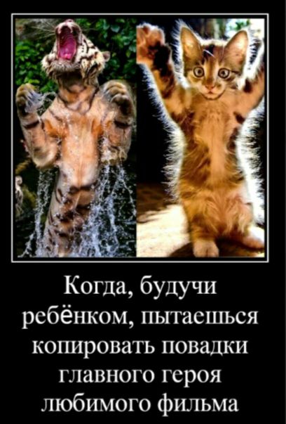 Когда будУЧи ребёнком пьггаешься копировать повадки главного героя любимого фильма