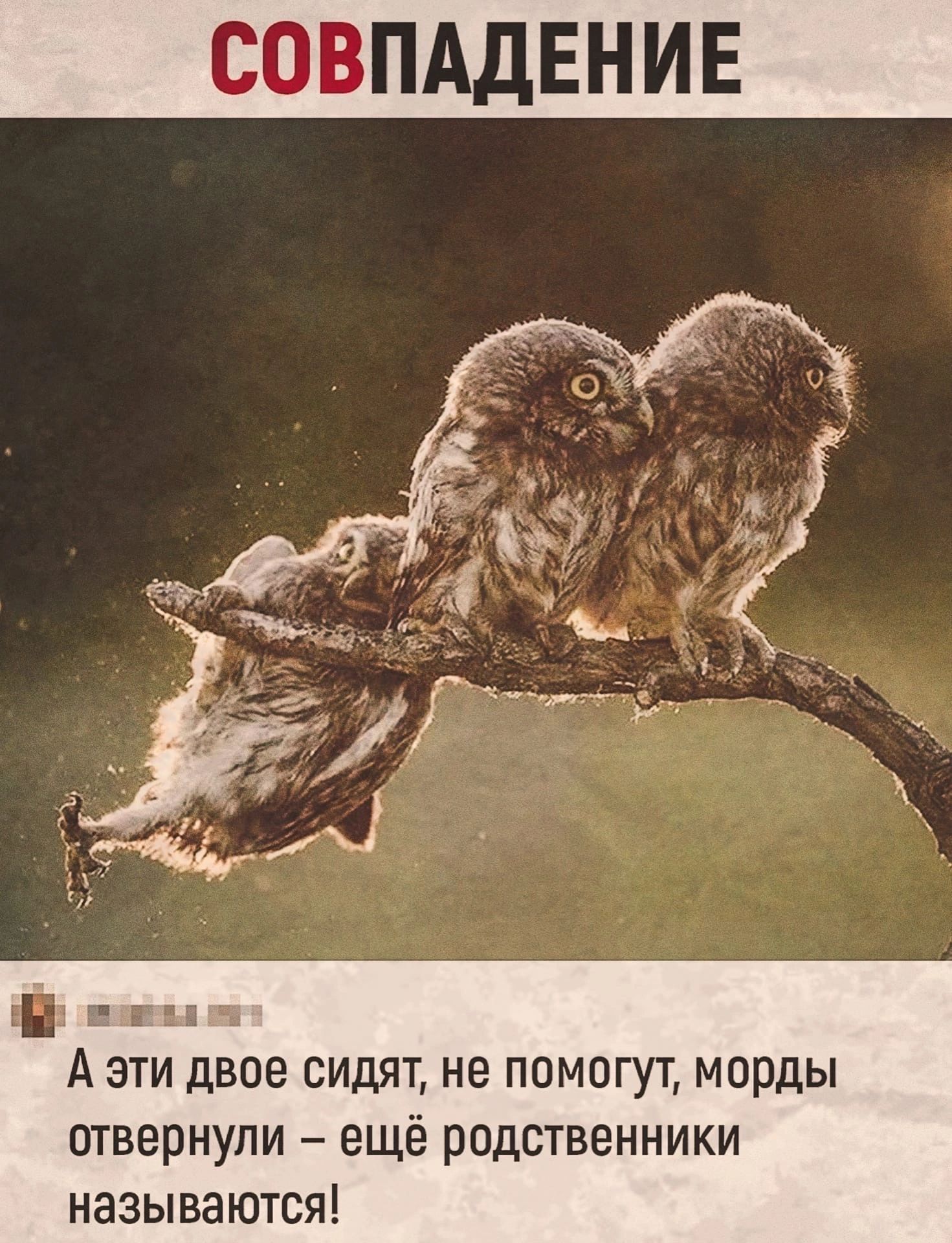 СОВПАДЕНИЕ 01 _ А эти двое сидят не помогут морды отвернули ещё родственники называются