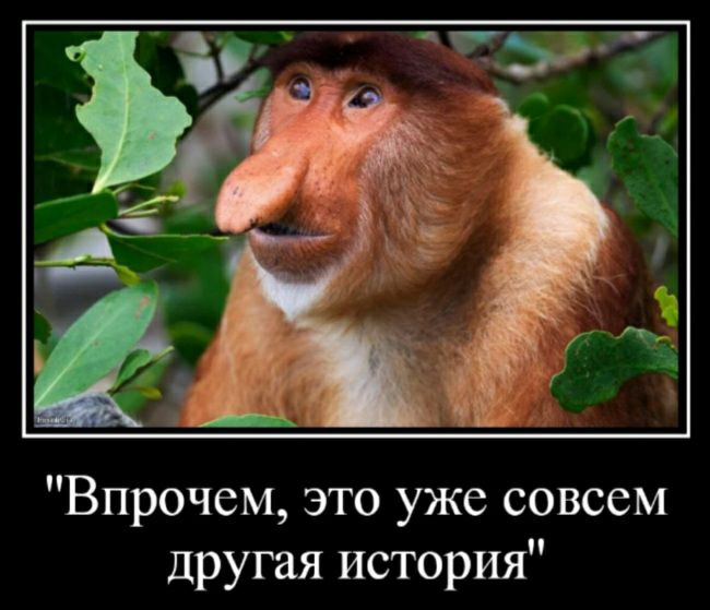 Впрочем это уже совсем другая история