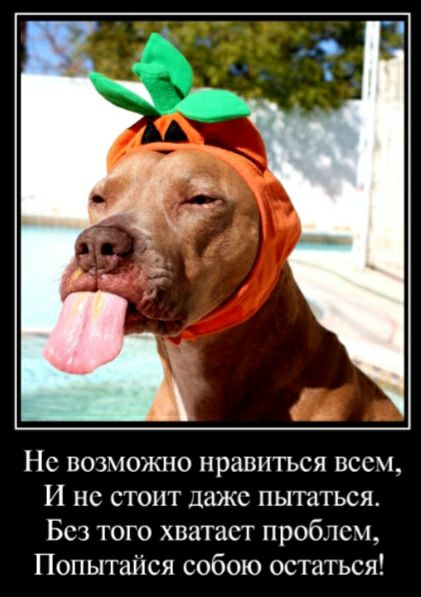 Но возможно нравиться всем И не стоит даже пытаться Бсз того хватает проблем Попытаііся собою остаться