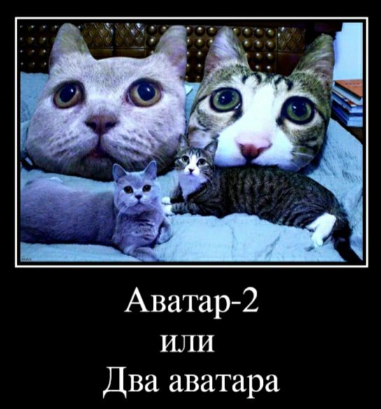 Аватар 2 или Два аватара