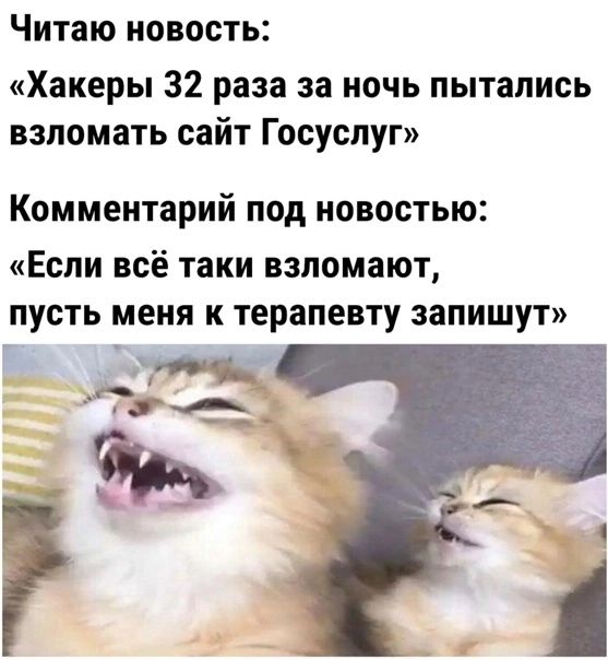 Читаю новость Хакеры 32 раза за ночь пытались взломать сайт Госуспуг КОММЕНТЗРИЙ под НОВОСТЬЮ Если всё таки взломают пусть меня к терапевту запишут