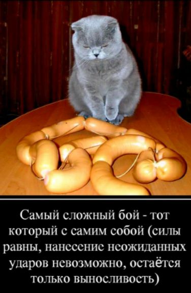 Самый сложный бой тот который с самим собой силы равны нанесение неожиданных ударов невозможно остаётся только выносливосгь