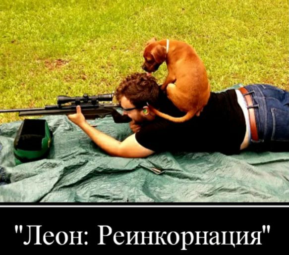 Леон Реинкорнация