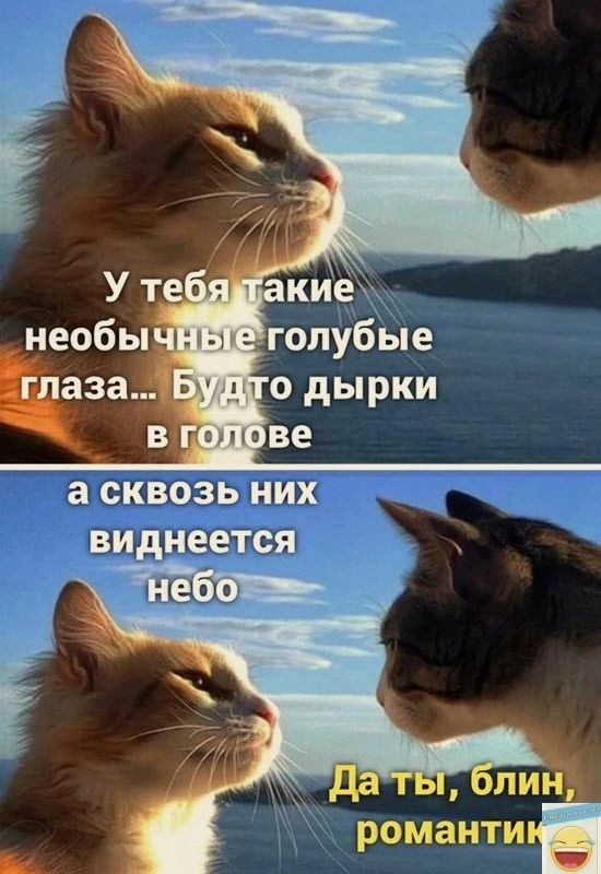 а СКВОЗЬ НИХ виднеется Ёба