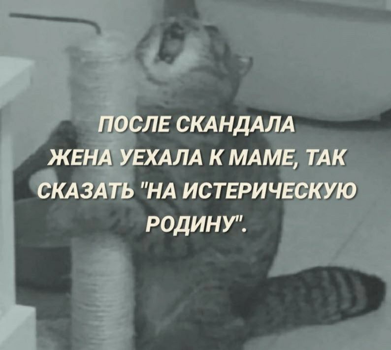 НА ИСТЕРИЧ 59871 9 РОДИНУ