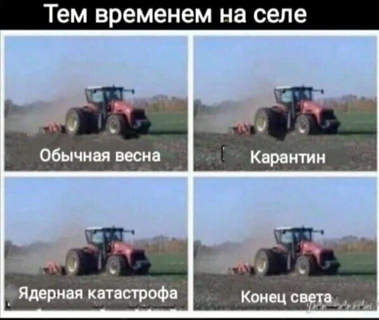 Тем временем на селе