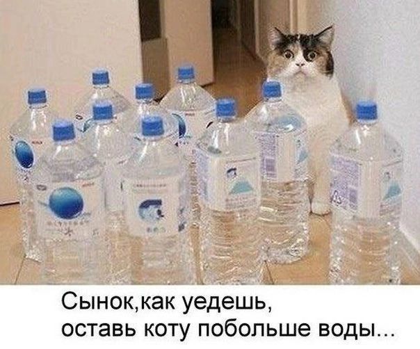 _ у п __ СЬН0ККЭК уедешь оставь КОТУ побольше ВОДЫ