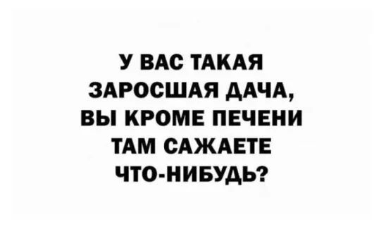 У ВАс ТАКАЯ ЗАРООШАЯ дАЧА ВЫ КРОМЕ ПЕЧЕНИ ТАМ ОАЖАЕТЕ ЧТО НИБУДЬ