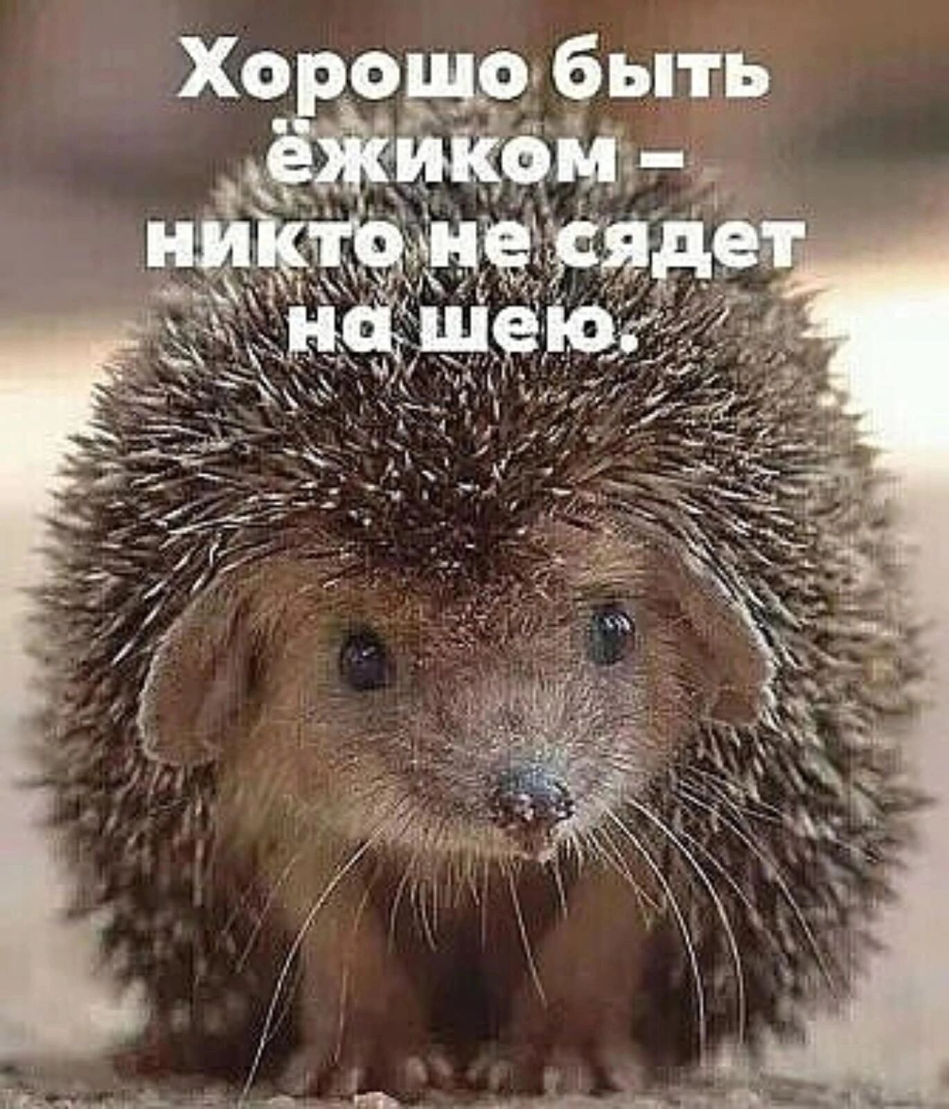 Хо о быть