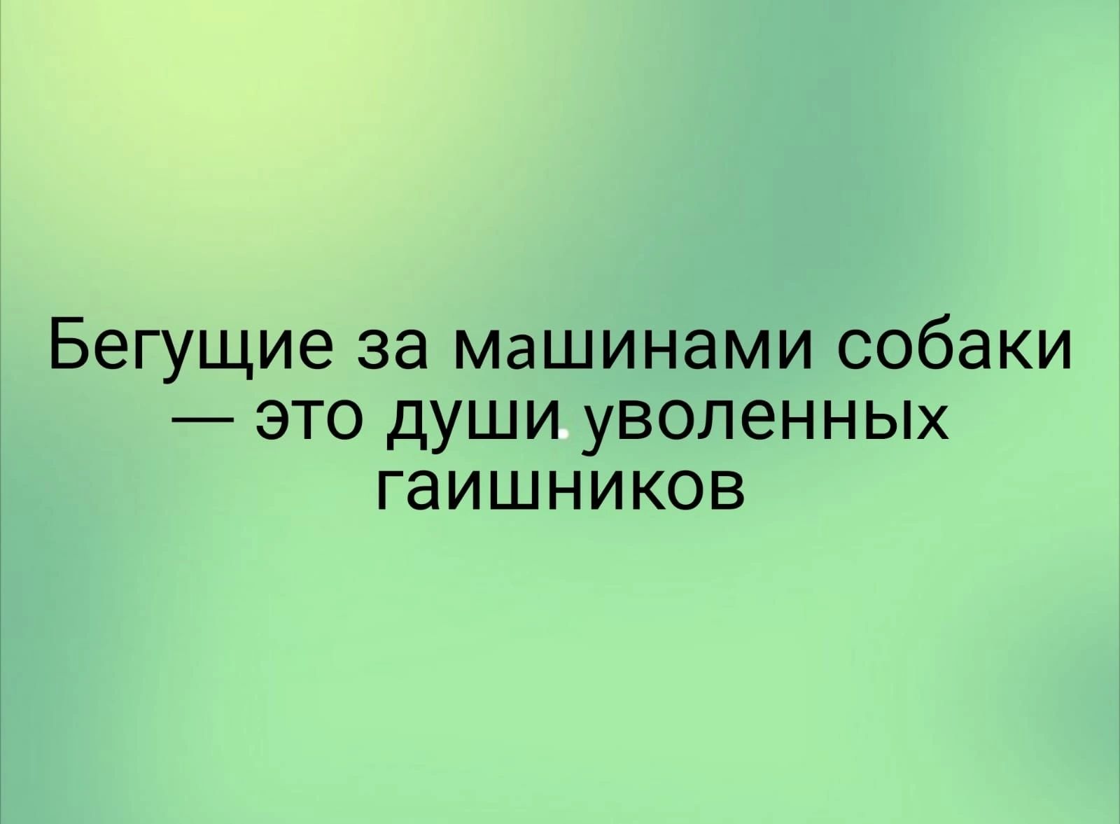 Бегущие за Машинами собаки это души уволенньпх гаишников - выпуск №1560326