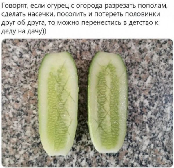 Говорят если огурец огорода разрезать пополам сделать насечки посолить и потереть полавинки друг сб друга то можно перенестись в детство деду на дачу