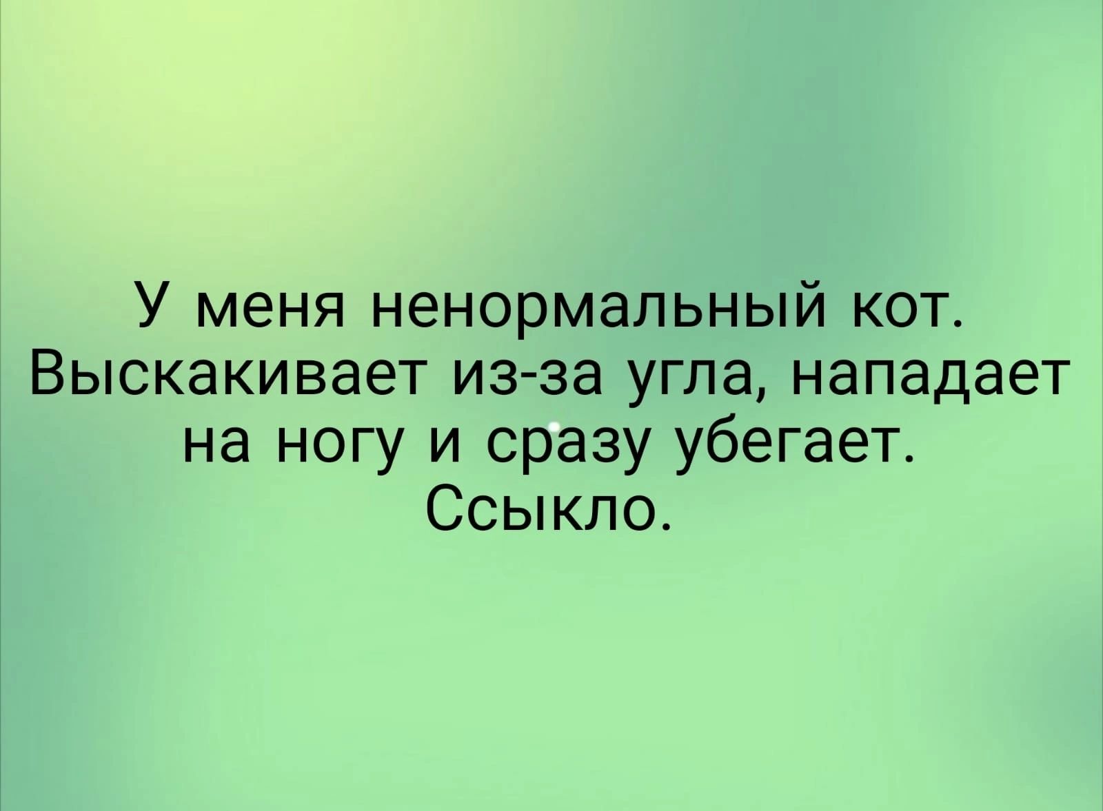 У меня ненормальный кот Выскакивает изза угла нападает на ногу и сразу убегает Ссыкпо