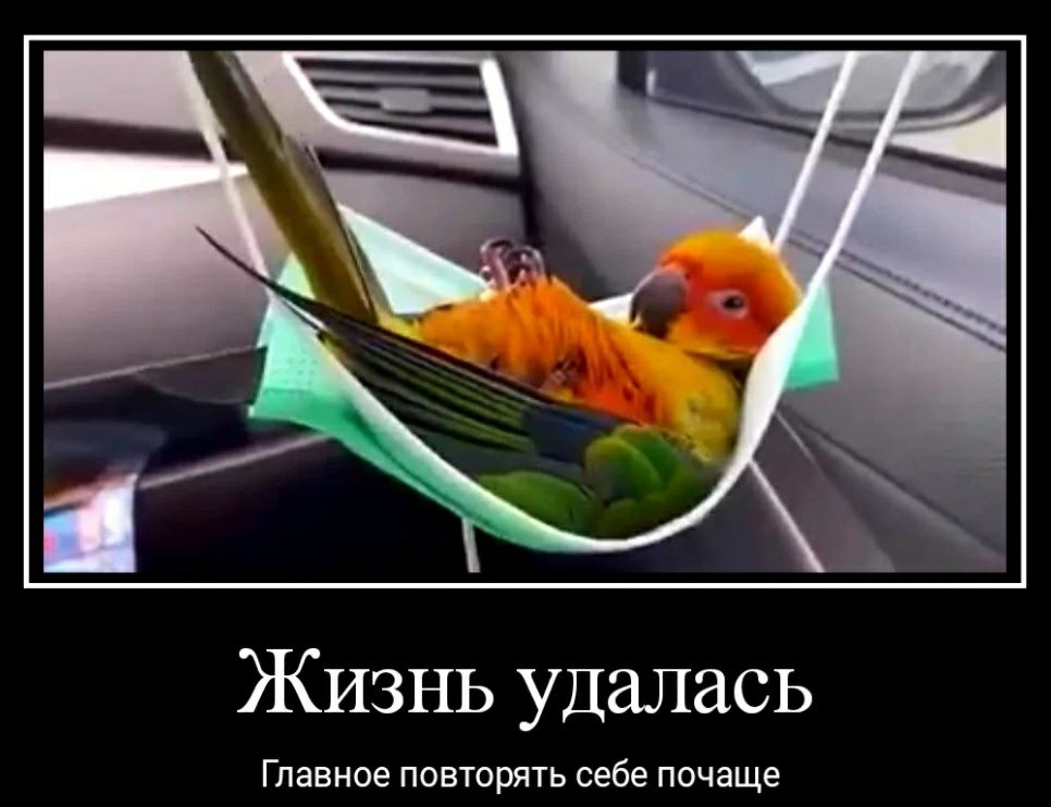 Жизнь удалась Главное пивторять себе почаще
